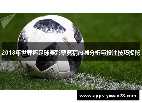 2018年世界杯足球赛彩票竞猜热潮分析与投注技巧揭秘