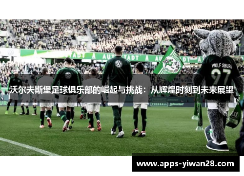 沃尔夫斯堡足球俱乐部的崛起与挑战：从辉煌时刻到未来展望