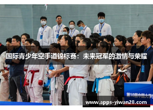 国际青少年空手道锦标赛：未来冠军的激情与荣耀