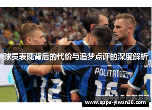 球员表现背后的代价与追梦点评的深度解析