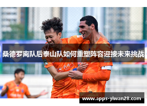 桑德罗离队后泰山队如何重塑阵容迎接未来挑战