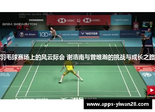 羽毛球赛场上的风云际会 谢浩南与曾维瀚的挑战与成长之路